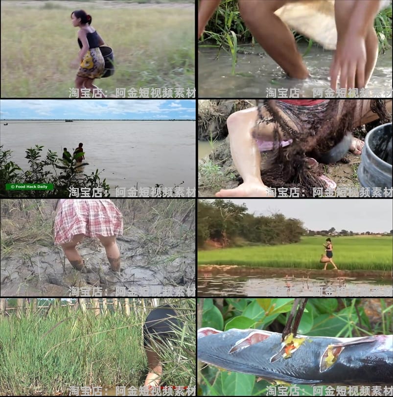 野外稻田捕鱼抓鱼钓鱼直播国外户外场景荒野生存横屏中长视频素材