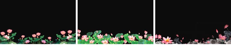 荷花莲花荷叶绽放摆动古风水墨透明通道后期合成MOV动态视频素材