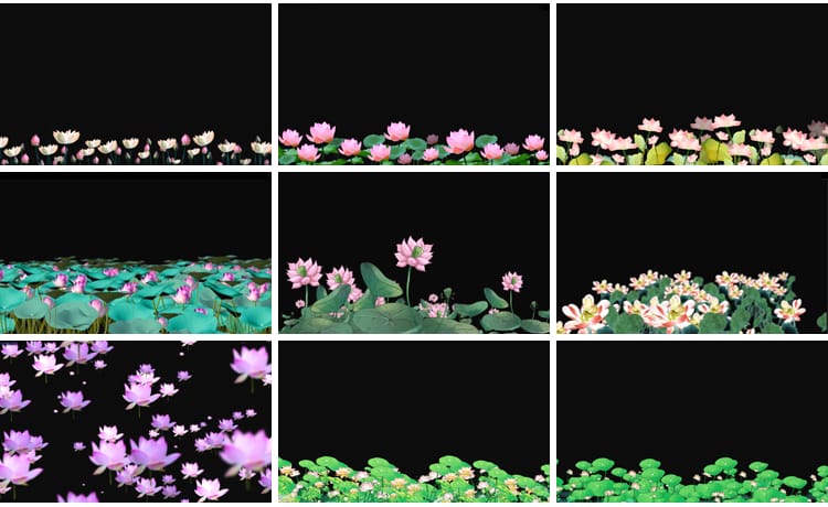 荷花莲花荷叶绽放摆动古风水墨透明通道后期合成MOV动态视频素材