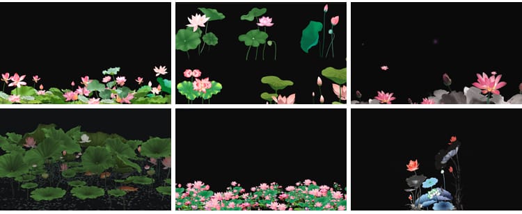 荷花莲花荷叶绽放摆动古风水墨透明通道后期合成MOV动态视频素材