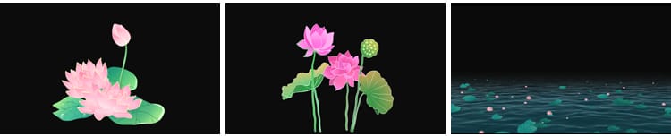 荷花莲花荷叶绽放摆动古风水墨透明通道后期合成MOV动态视频素材