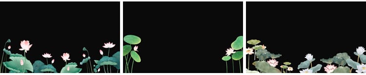 荷花莲花荷叶绽放摆动古风水墨透明通道后期合成MOV动态视频素材