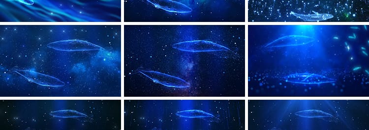 唯美蓝色大海海底鲸鱼游动粒子梦幻抒情星空舞台LED背景视频素材