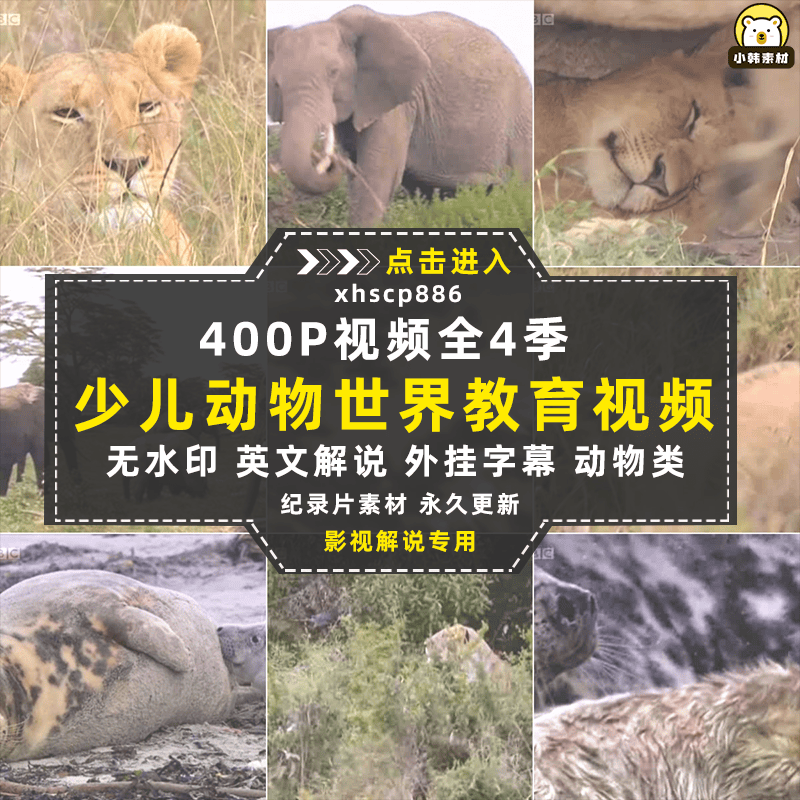 BBC儿童教育纪录片少儿动物世界全4季中视频自媒体解说视频素材