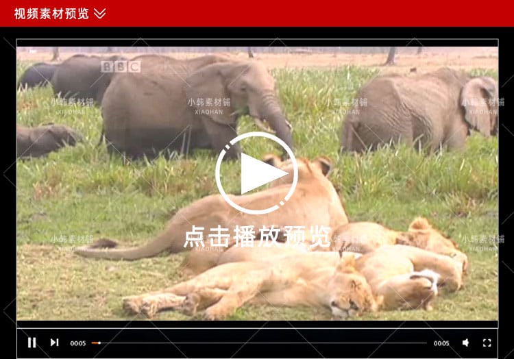 BBC儿童教育纪录片少儿动物世界全4季中视频自媒体解说视频素材