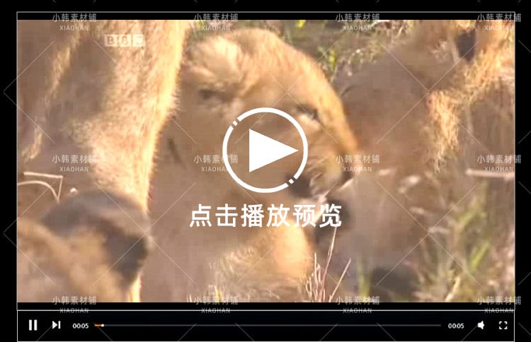 BBC儿童教育纪录片少儿动物世界全4季中视频自媒体解说视频素材