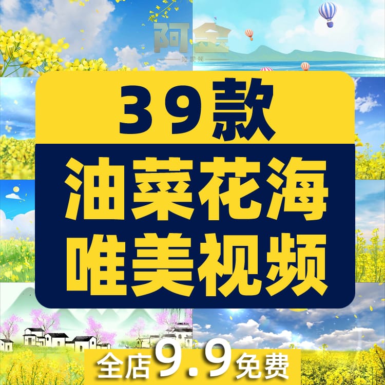油菜花花海唯美大自然乡村风景素材高清旅游自然治愈系短视频背景