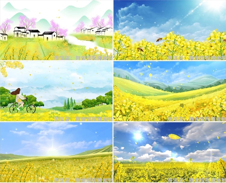 油菜花花海唯美大自然乡村风景素材高清旅游自然治愈系短视频背景