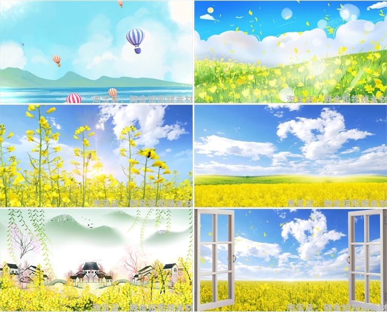 油菜花花海唯美大自然乡村风景素材高清旅游自然治愈系短视频背景