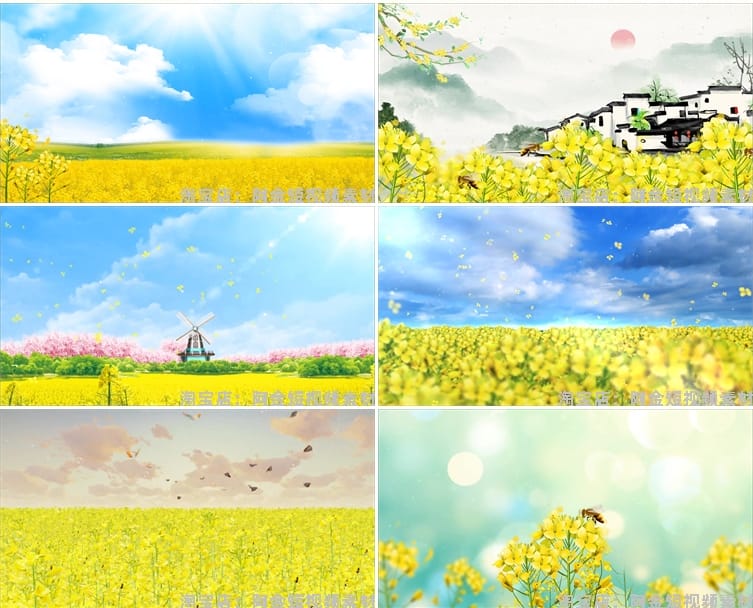 油菜花花海唯美大自然乡村风景素材高清旅游自然治愈系短视频背景