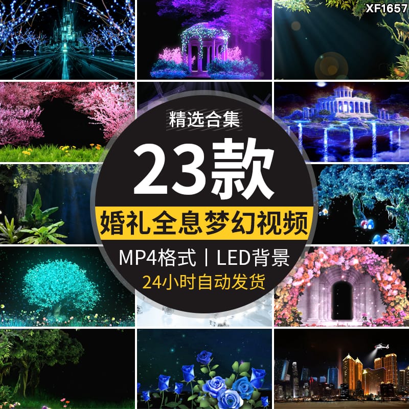 唯美婚礼婚庆开场全息梦幻影花瓣森林城堡LED大屏幕背景视频素材