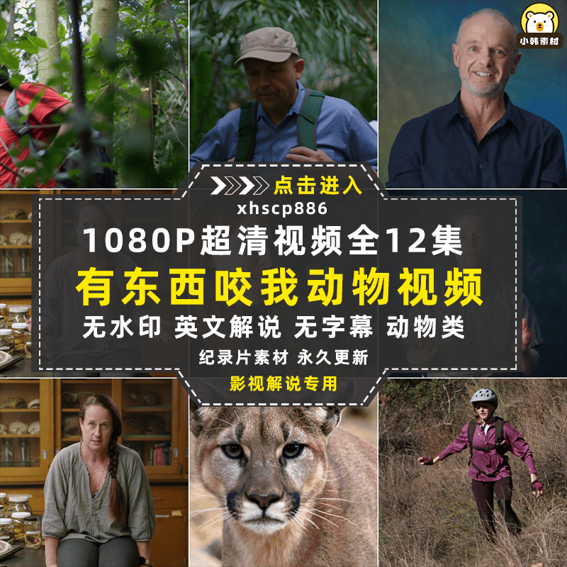 动物袭击人类纪录片有东西咬我全12集中视频自媒体解说视频素材