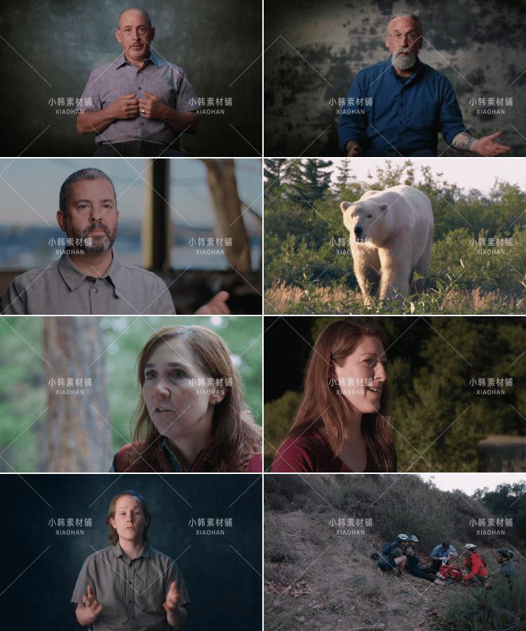 动物袭击人类纪录片有东西咬我全12集中视频自媒体解说视频素材