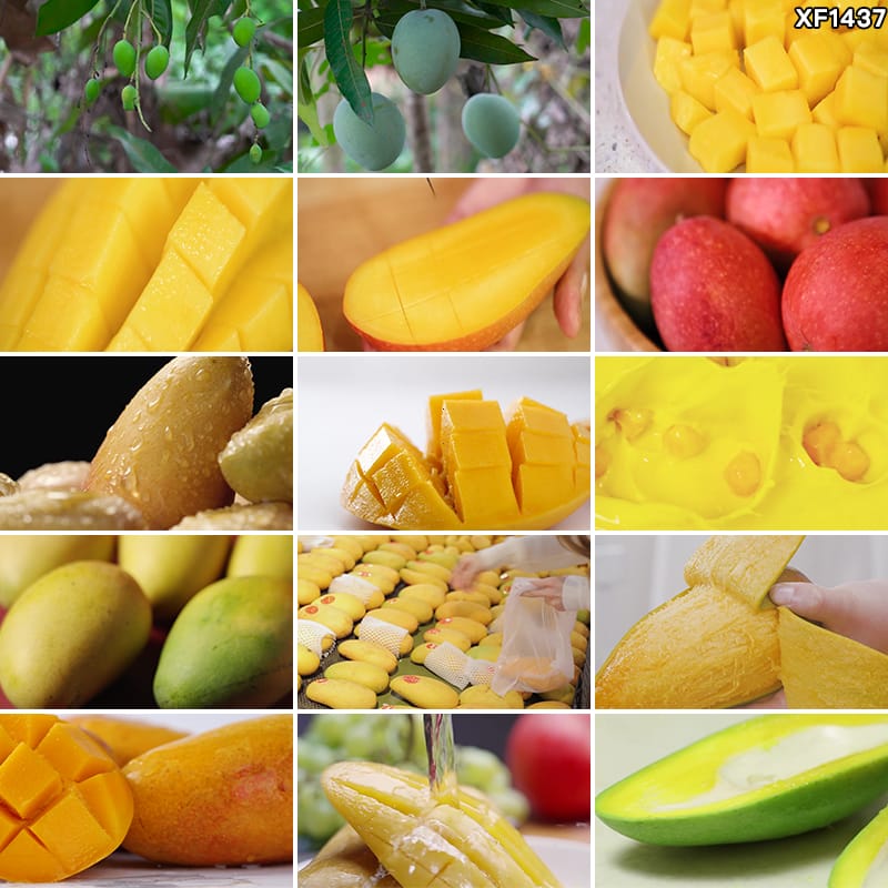 新鲜成熟切开芒果水果芒果汁热带水果实拍特写高清剪辑短视频素材