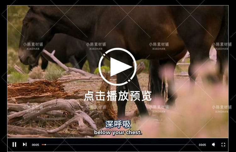 BBC动物行为研究纪录片天才动物中视频自媒体解说高清视频素材