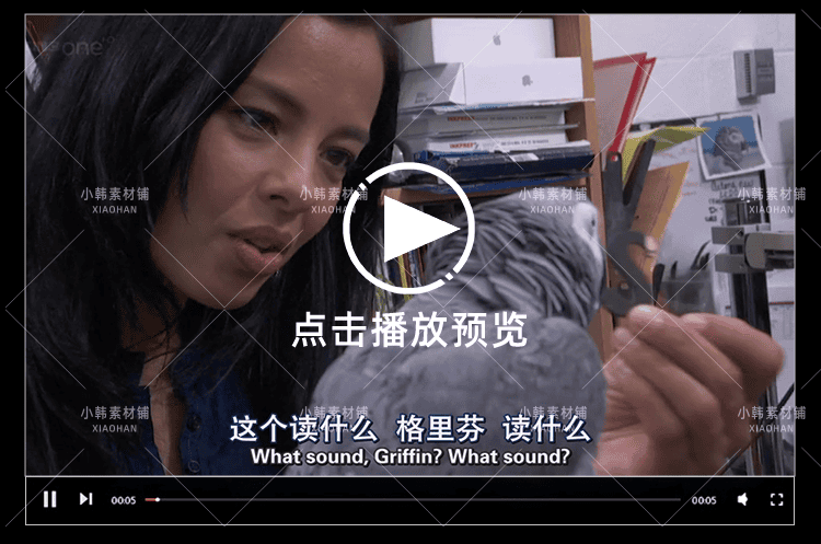 BBC动物行为研究纪录片天才动物中视频自媒体解说高清视频素材