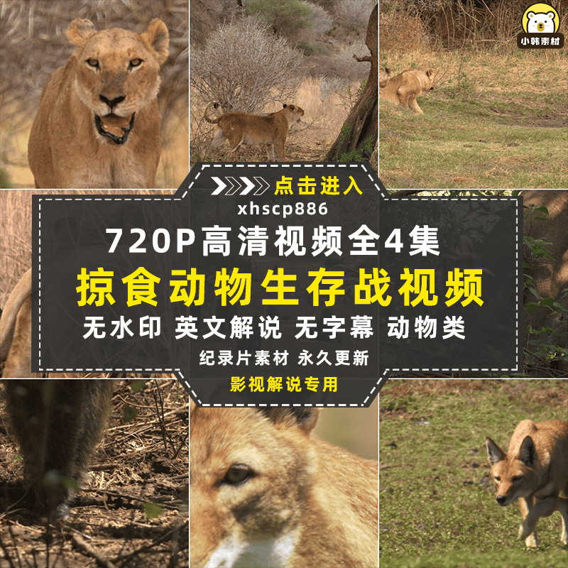 国家地理生命探索纪录片掠食动物生存战中视频自媒体解说视频素材