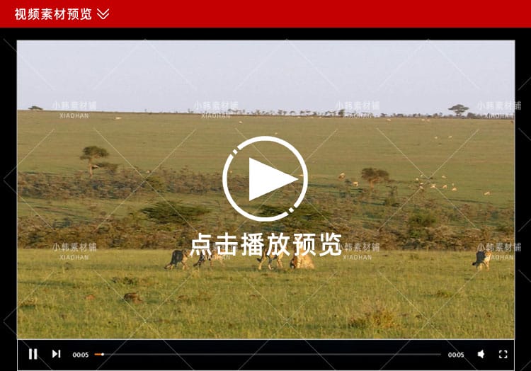 国家地理生命探索纪录片掠食动物生存战中视频自媒体解说视频素材