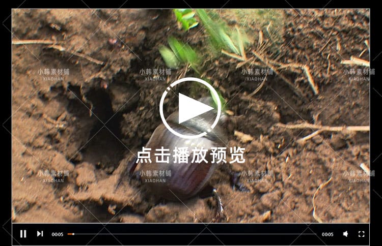 国家地理生命探索纪录片掠食动物生存战中视频自媒体解说视频素材