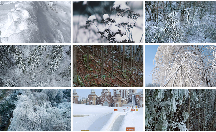 4K冬天雪景自然风景下雪冬季美景雪地面雪山唯美山川抖音视频素材