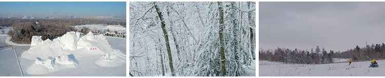 4K冬天雪景自然风景下雪冬季美景雪地面雪山唯美山川抖音视频素材