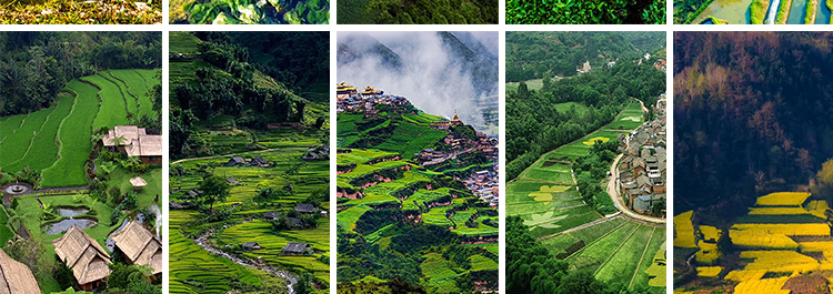 竖屏版农村田园美景农家田野田地乡村治愈系清新绿色抖音视频素材