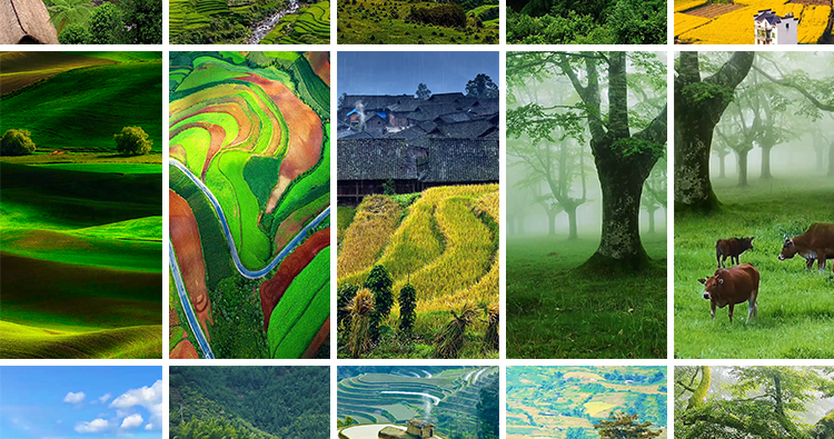 竖屏版农村田园美景农家田野田地乡村治愈系清新绿色抖音视频素材