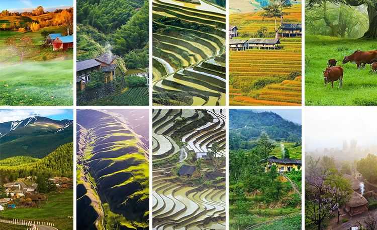 竖屏版农村田园美景农家田野田地乡村治愈系清新绿色抖音视频素材