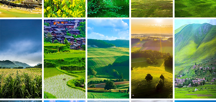 竖屏版农村田园美景农家田野田地乡村治愈系清新绿色抖音视频素材