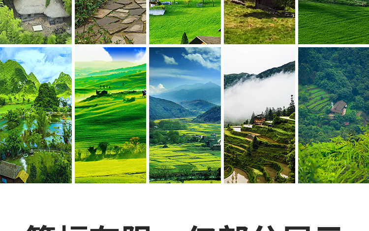 竖屏版农村田园美景农家田野田地乡村治愈系清新绿色抖音视频素材