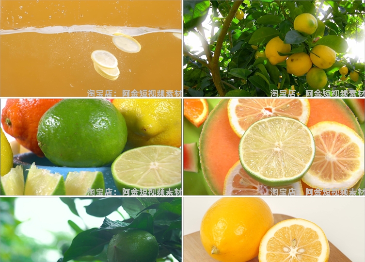 柠檬青柠新鲜水果树上果实果园抖音短视频自媒体高清实拍素材剪辑