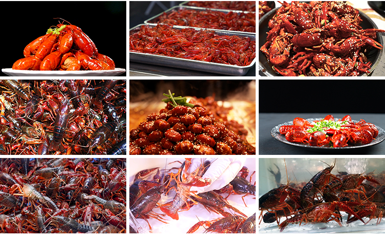 小龙虾鲜活夜宵麻辣香辣蒜蓉小龙虾美食虾尾实拍高清剪辑视频素材