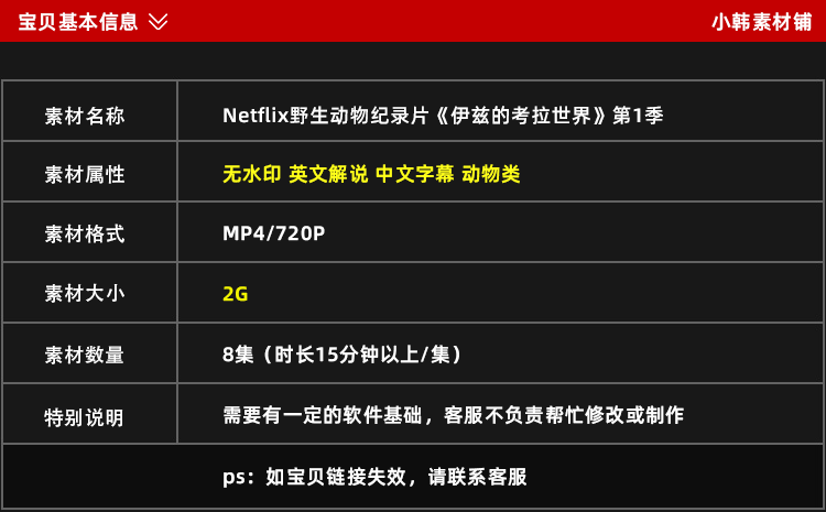 Netflix野生动物纪录片伊兹的考拉世界中视频自媒体解说视频素材