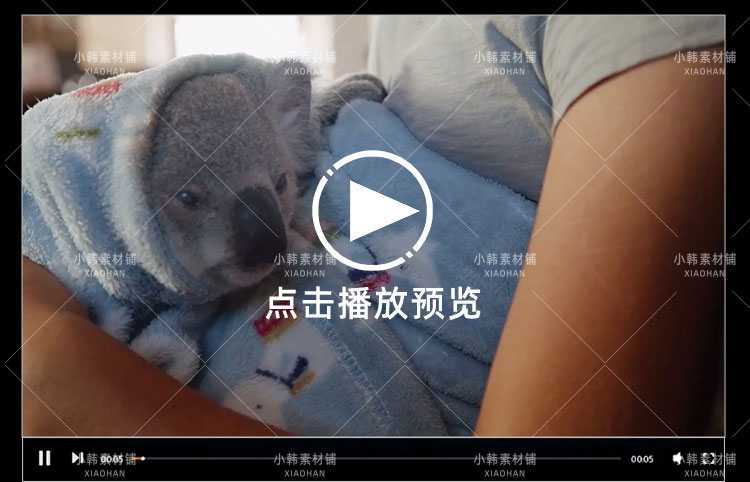 Netflix野生动物纪录片伊兹的考拉世界中视频自媒体解说视频素材