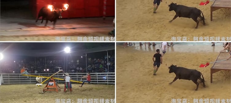 斗牛节比赛中视频无人直播刺激新奇特国外高清解压小说推文素材