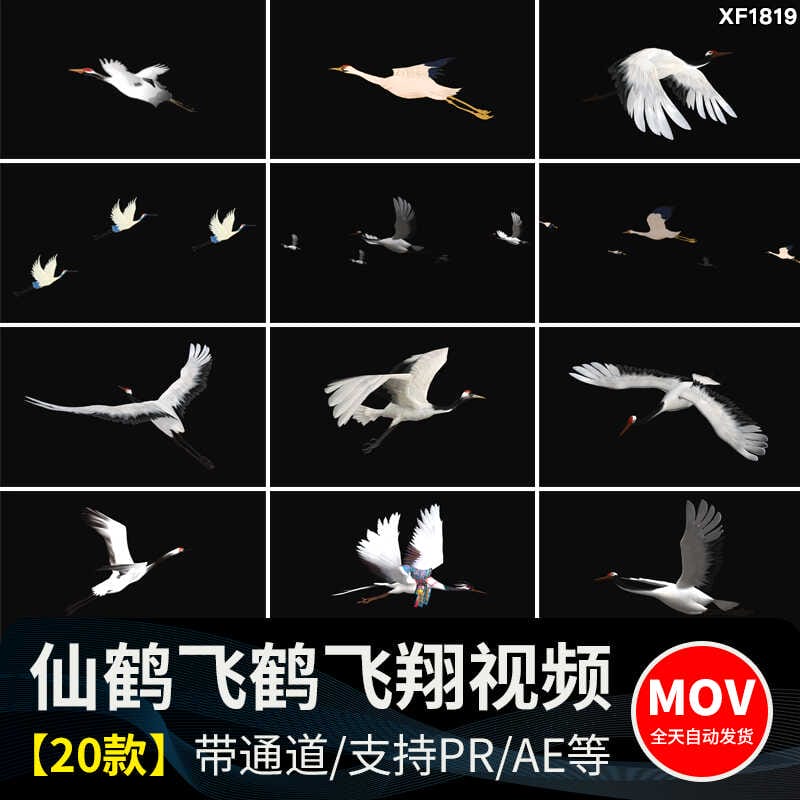 白色仙鹤飞鹤群鹤飞翔带alpha透明通道ae_pr后期合成特效视频素材