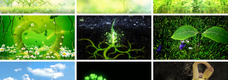 绿色植物自然生长成发芽小树水滴种子舞台LED大屏幕背景视频素材