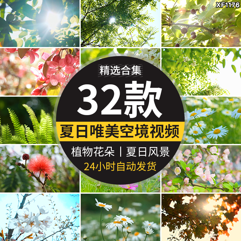 夏日风景阳光透穿过绿叶唯美自然空境头植物花朵春暖花开视频素材