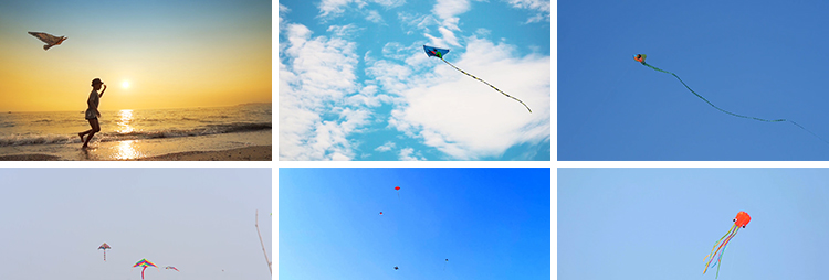 放风筝三月风筝满天飞舞蓝天白云户外活动高清实拍剪辑短视频素材