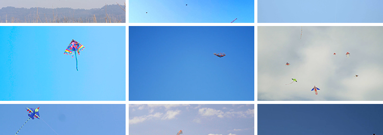 放风筝三月风筝满天飞舞蓝天白云户外活动高清实拍剪辑短视频素材