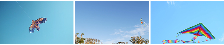 放风筝三月风筝满天飞舞蓝天白云户外活动高清实拍剪辑短视频素材