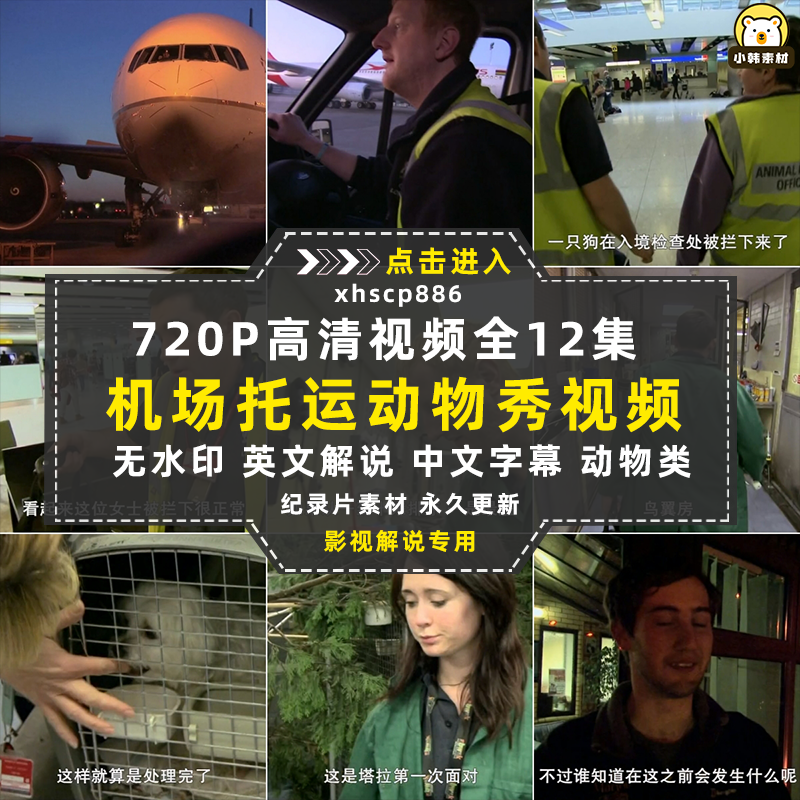 动物托运纪录片机场动物秀全12集中视频自媒体解说高清视频素材
