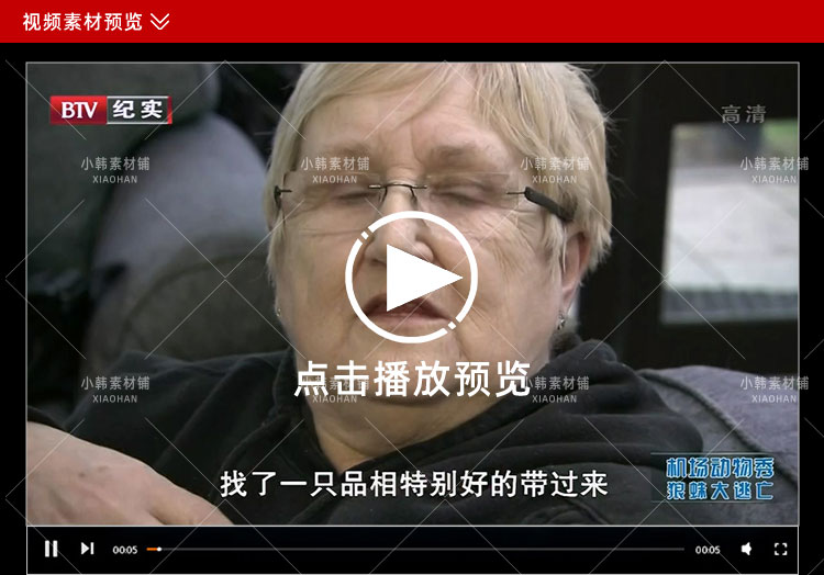 动物托运纪录片机场动物秀全12集中视频自媒体解说高清视频素材