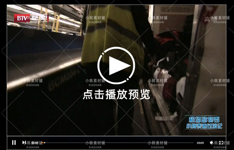 动物托运纪录片机场动物秀全12集中视频自媒体解说高清视频素材