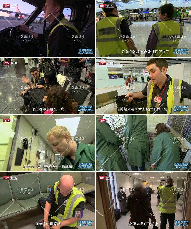 动物托运纪录片机场动物秀全12集中视频自媒体解说高清视频素材