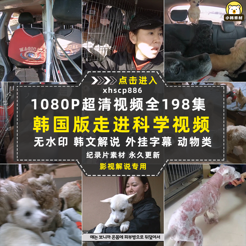 SBS韩国版走近科学纪录片天啊,这到底是什么动物中视频自媒体素材