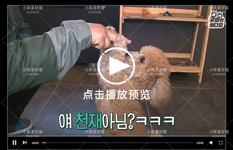 SBS韩国版走近科学纪录片天啊,这到底是什么动物中视频自媒体素材