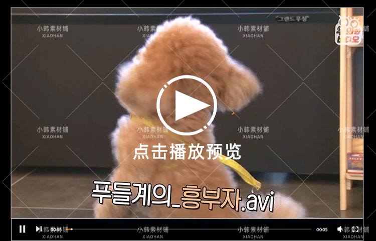 SBS韩国版走近科学纪录片天啊,这到底是什么动物中视频自媒体素材