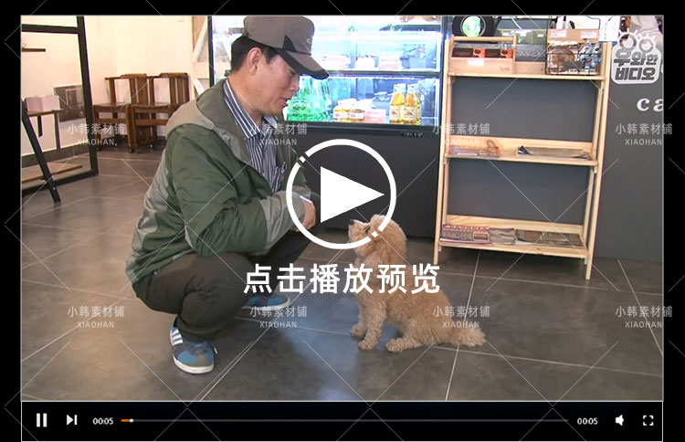 SBS韩国版走近科学纪录片天啊,这到底是什么动物中视频自媒体素材