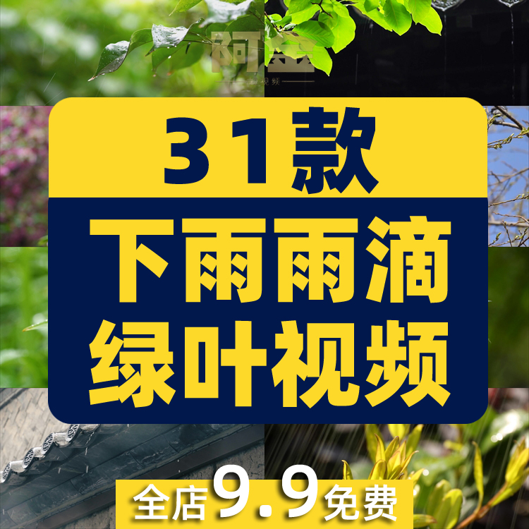 下雨雨滴绿叶清新绿色植物风景素材高清旅游自然治愈系短视频背景
